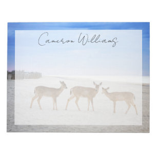 Cutest Baby Animals   Deer at the Beach Notepad