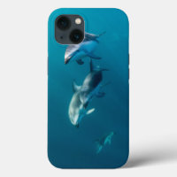 Cutest Baby Animals | Dolphin Family