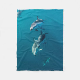 Cutest Baby Animals   Dolphin Family Fleece Blanket