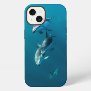 Cutest Baby Animals Dolphin Family iPhone 13 Case