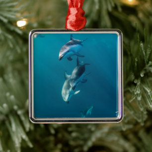 Cutest Baby Animals Dolphin Family Metal Tree Decoration