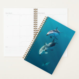 Cutest Baby Animals Dolphin Family Planner