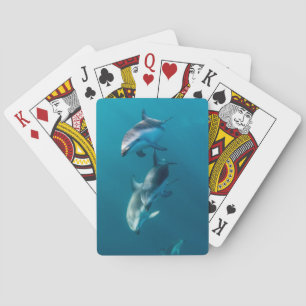 Cutest Baby Animals Dolphin Family Playing Cards