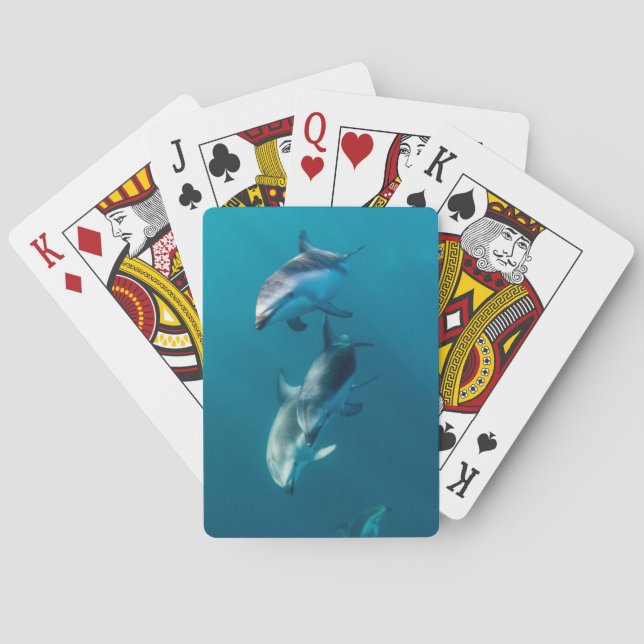 Cutest Baby Animals | Dolphin Family Playing Cards (Back)