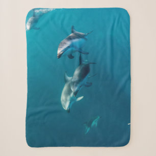 Cutest Baby Animals Dolphin Family Sherpa Blanket