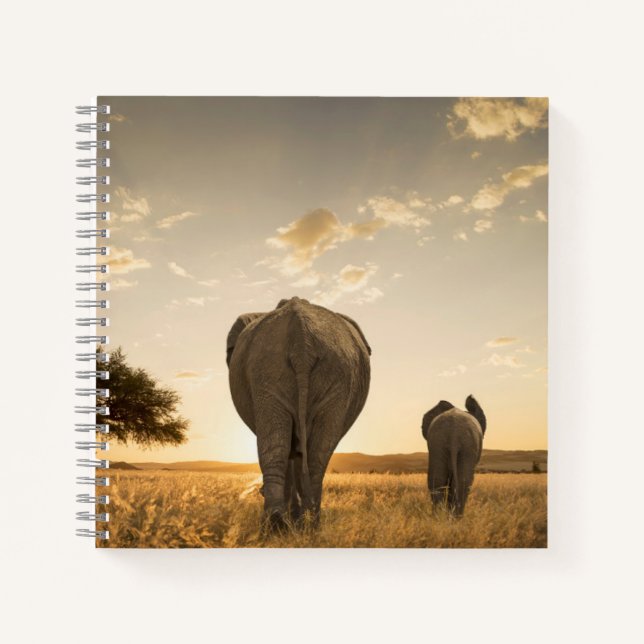 Cutest Baby Animals | Elephant Calf & Mother Notebook (Front)