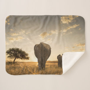 Cutest Baby Animals Elephant Calf & Mother Sherpa Blanket