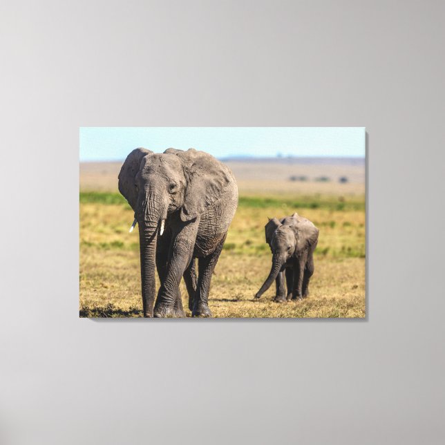 Cutest Baby Animals | Elephant Mother & Baby Canvas Print (Front)