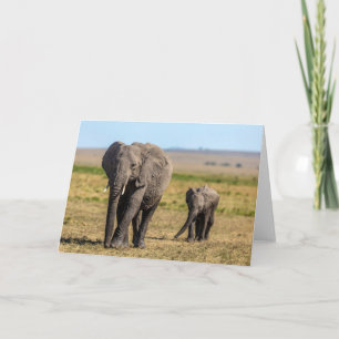 Cutest Baby Animals   Elephant Mother & Baby Card