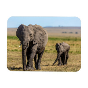 Cutest Baby Animals Elephant Mother & Baby Magnet