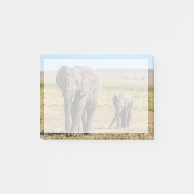 Cutest Baby Animals | Elephant Mother & Baby Post-it Notes (Front)