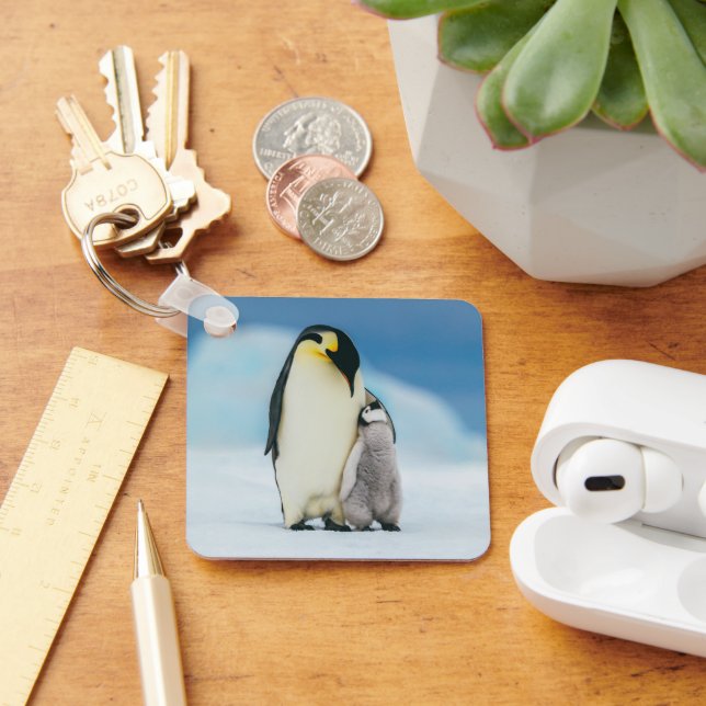 Cutest Baby Animals | Emperor Penguin Chick Key Ring (Desk)