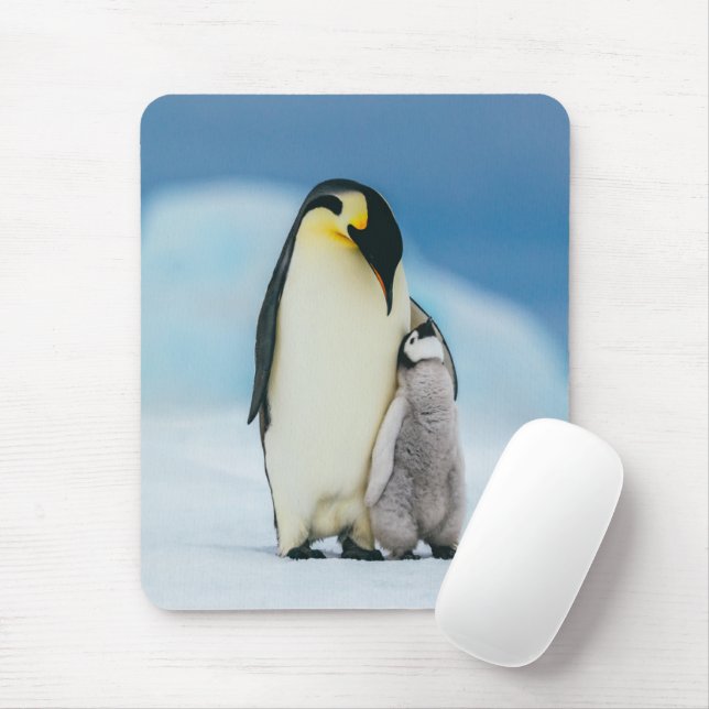 Cutest Baby Animals | Emperor Penguin Chick Mouse Pad (With Mouse)