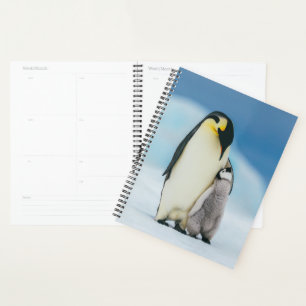 Cutest Baby Animals Emperor Penguin Chick Planner