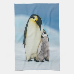 Cutest Baby Animals Emperor Penguin Chick Tea Towel