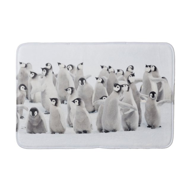 Cutest Baby Animals | Emperor Penguin Chicks Bath Mat (Front)