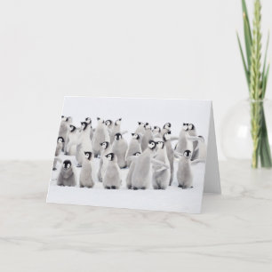 Cutest Baby Animals Emperor Penguin Chicks Card
