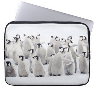Cutest Baby Animals Emperor Penguin Chicks Laptop Sleeve