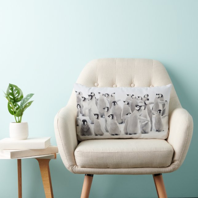 Cutest Baby Animals | Emperor Penguin Chicks Lumbar Cushion (Chair)