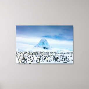 Cutest Baby Animals   Emperor Penguin Colony Canvas Print