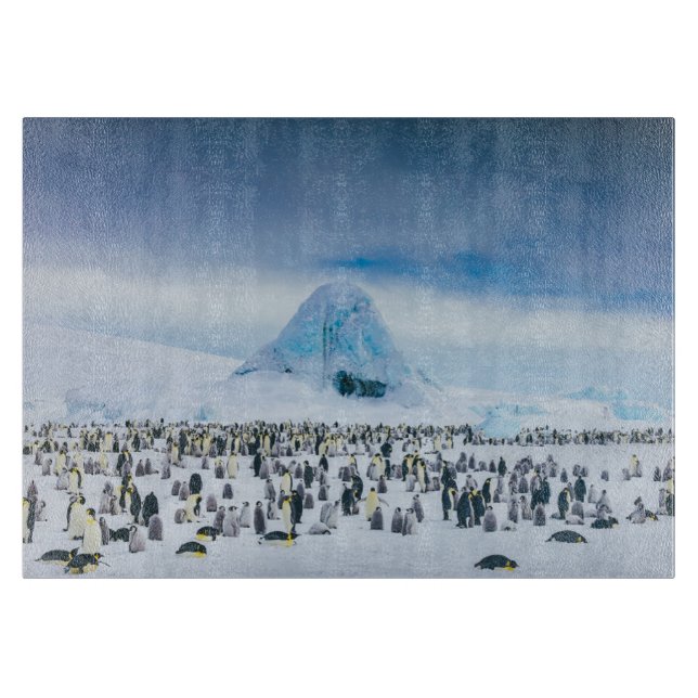 Cutest Baby Animals | Emperor Penguin Colony Cutting Board (Front)