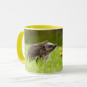 Cutest Baby Animals European Hedgehog Mug