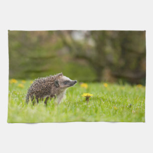 Cutest Baby Animals European Hedgehog Tea Towel