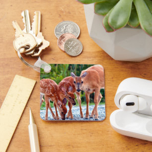 Cutest Baby Animals Fawn with Babies Key Ring