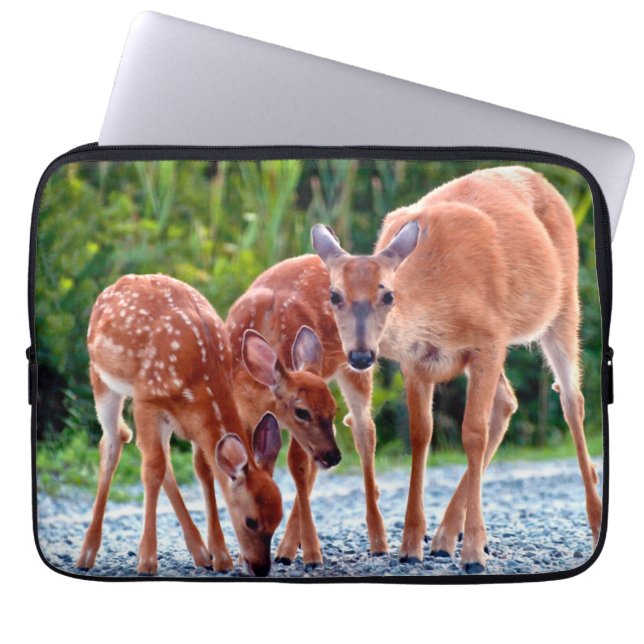 Cutest Baby Animals | Fawn with Babies Laptop Sleeve (Front)
