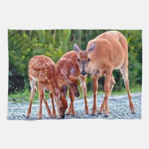 Cutest Baby Animals Fawn with Babies Tea Towel