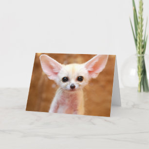 Cutest Baby Animals Fennec Fox Card