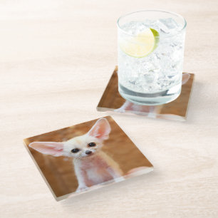 Cutest Baby Animals   Fennec Fox Glass Coaster