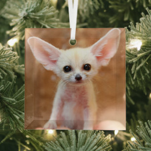 Cutest Baby Animals   Fennec Fox Glass Tree Decoration