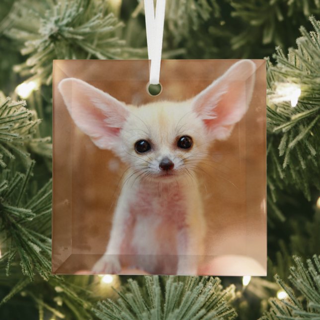 Cutest Baby Animals | Fennec Fox Glass Tree Decoration (Insitu)