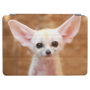 Cutest Baby Animals   Fennec Fox iPad Air Cover