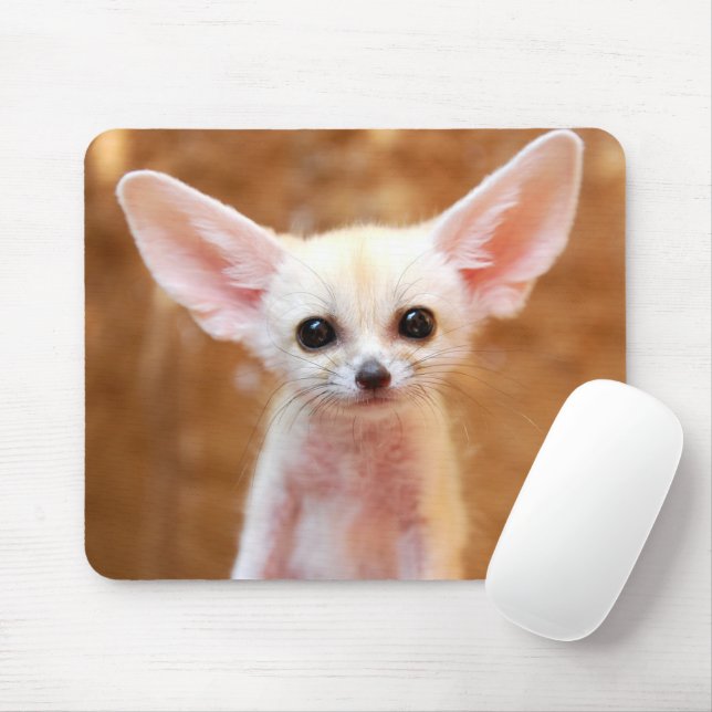 Cutest Baby Animals | Fennec Fox Mouse Pad (With Mouse)