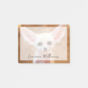 Cutest Baby Animals Fennec Fox Post-it Notes
