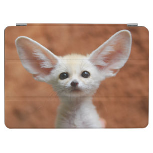 Cutest Baby Animals   Fennec Fox Pup iPad Air Cover