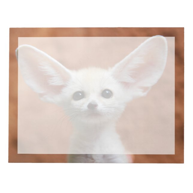 Cutest Baby Animals | Fennec Fox Pup Notepad (Front)