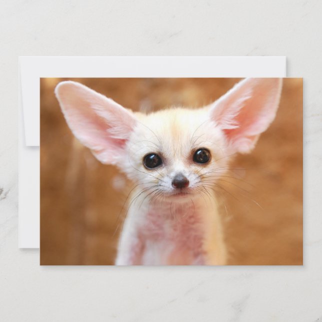 Cutest Baby Animals | Fennec Fox Thank You Card (Front)