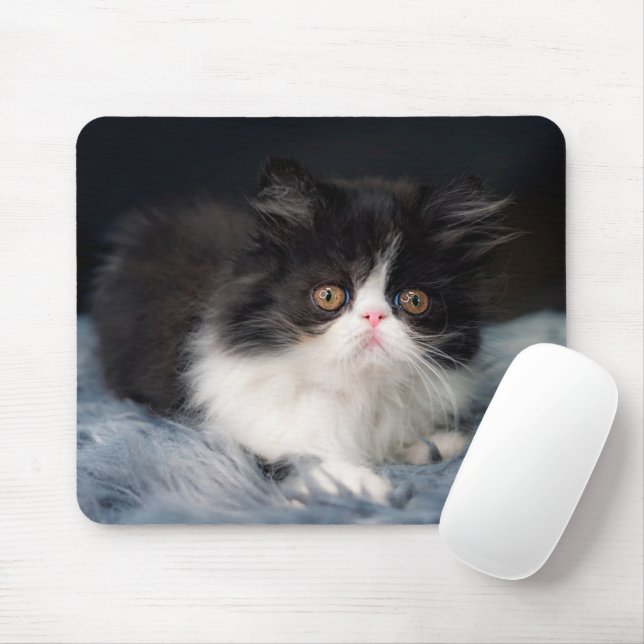 Cutest Baby Animals | Fluffy B&W Kitten Mouse Pad (With Mouse)