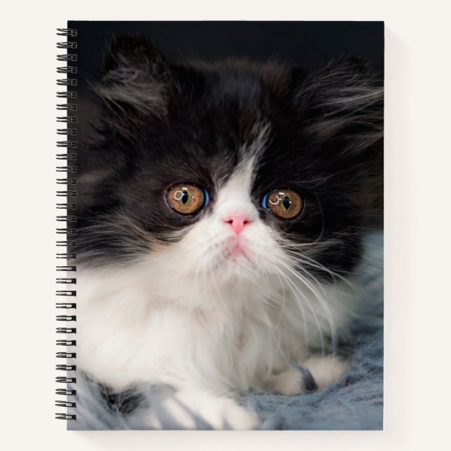 Cutest Baby Animals | Fluffy B&W Kitten Notebook (Front)