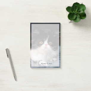 Cutest Baby Animals   Fluffy B&W Kitten Post-it Notes