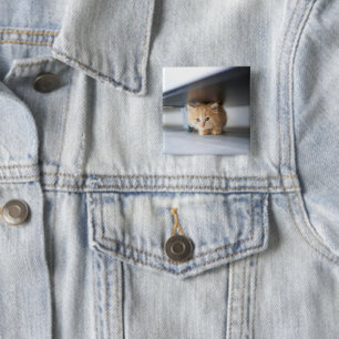 Cutest Baby Animals   Fluffy Orange Kitten 15 Cm Square Badge