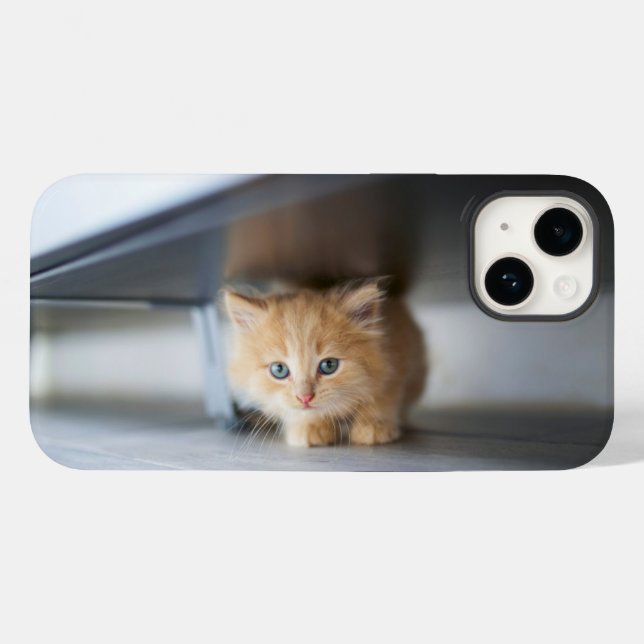Cutest Baby Animals | Fluffy Orange Kitten Case-Mate iPhone Case (Back (Horizontal))