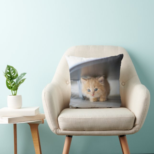 Cutest Baby Animals | Fluffy Orange Kitten Cushion (Chair)