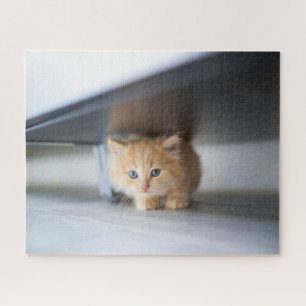 Cutest Baby Animals   Fluffy Orange Kitten Jigsaw Puzzle