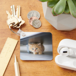 Cutest Baby Animals Fluffy Orange Kitten Key Ring