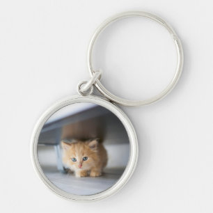 Cutest Baby Animals   Fluffy Orange Kitten Key Ring