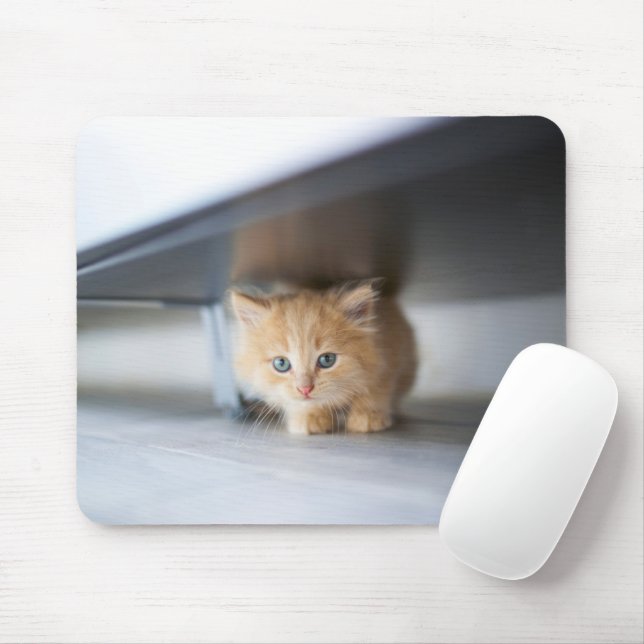 Cutest Baby Animals | Fluffy Orange Kitten Mouse Pad (With Mouse)